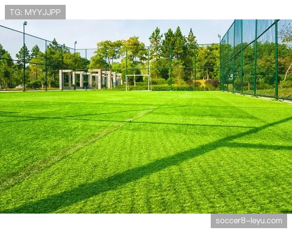 尼斯中路渗透引热议：新城市规划或将重塑足球场选址与社区发展格局