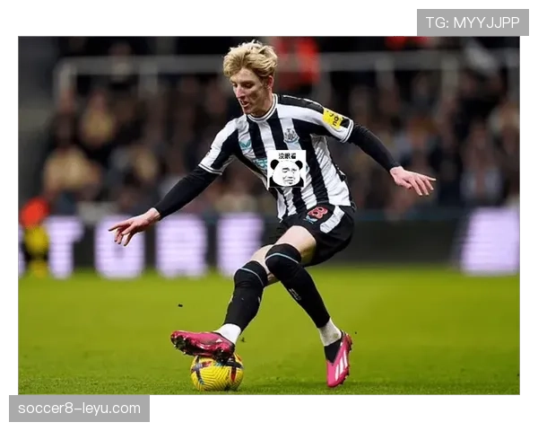 帕特森·达卡闪耀英超,为球队注入新活力引关注 帕特森·达卡闪耀英超,为球队注入新活力引关注