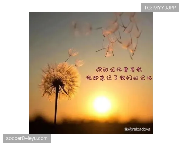 程语轩家的猫都比你我活得精致