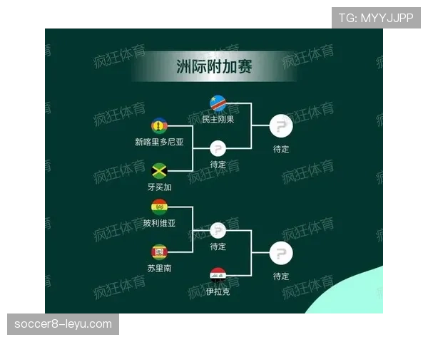 民主刚果冲击2026世界杯前景：赛程挑战与出线形势分析